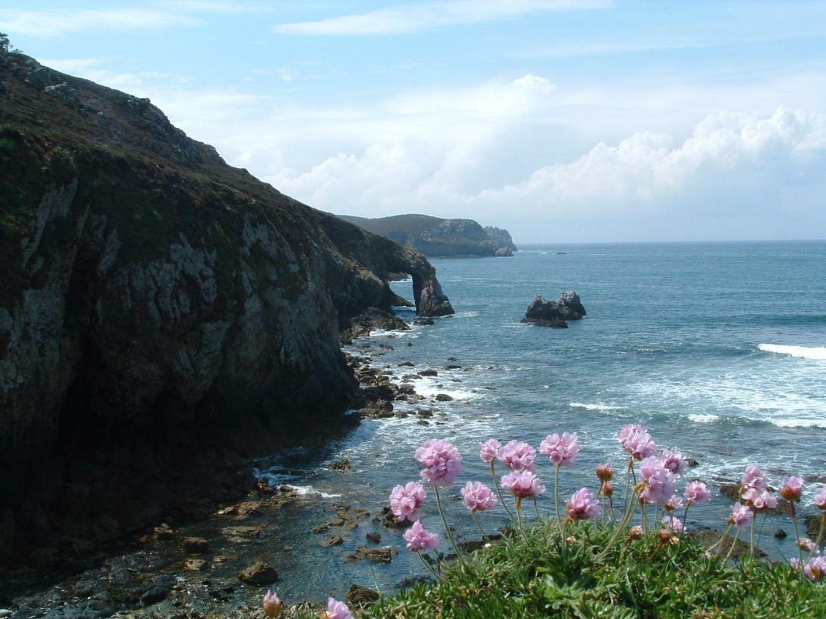 Cap Morgat Chez Jean Lejlighed Crozon Eksteriør billede