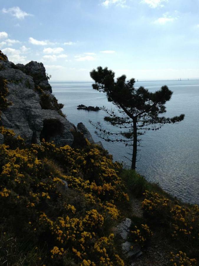 Cap Morgat Chez Jean Lejlighed Crozon Eksteriør billede